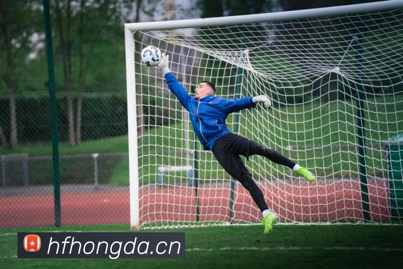 hth会体会网页版登录入口平台生态图